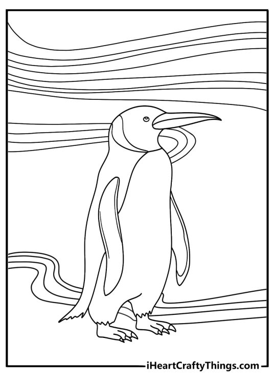 Free penguin coloring pages printable with a penguin under the northern lights