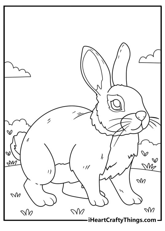 Free picture for kids presenting realistically looking rabbit with long whiskers and little cottontail