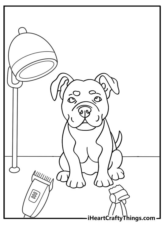 Free pitbull coloring pages printable with a pitbull at a grooming table