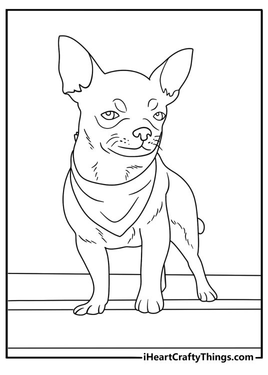 Free printable Chihuahua coloring sheet with a dog wearing a bandana on a porch