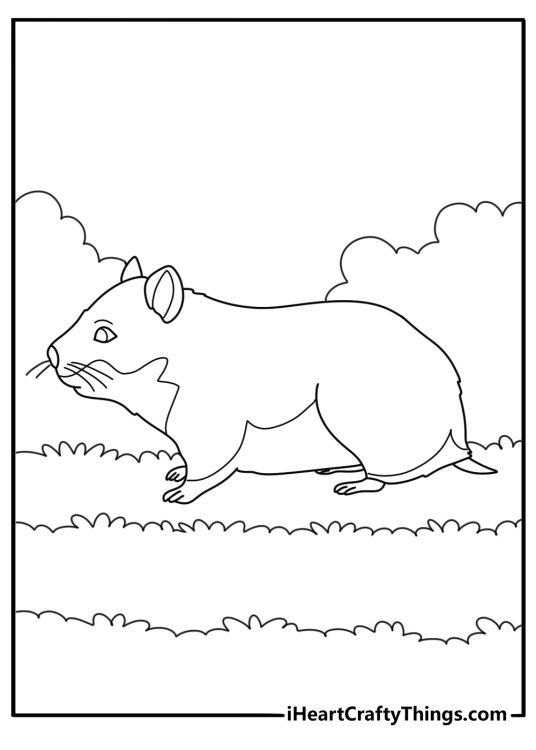 Free printable coloring page featuring adorable baby hamster standing on the grass on his four feet
