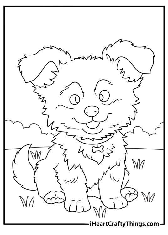 Free printable coloring sheet for kids depicting cute fluffy puppy wearing a collar