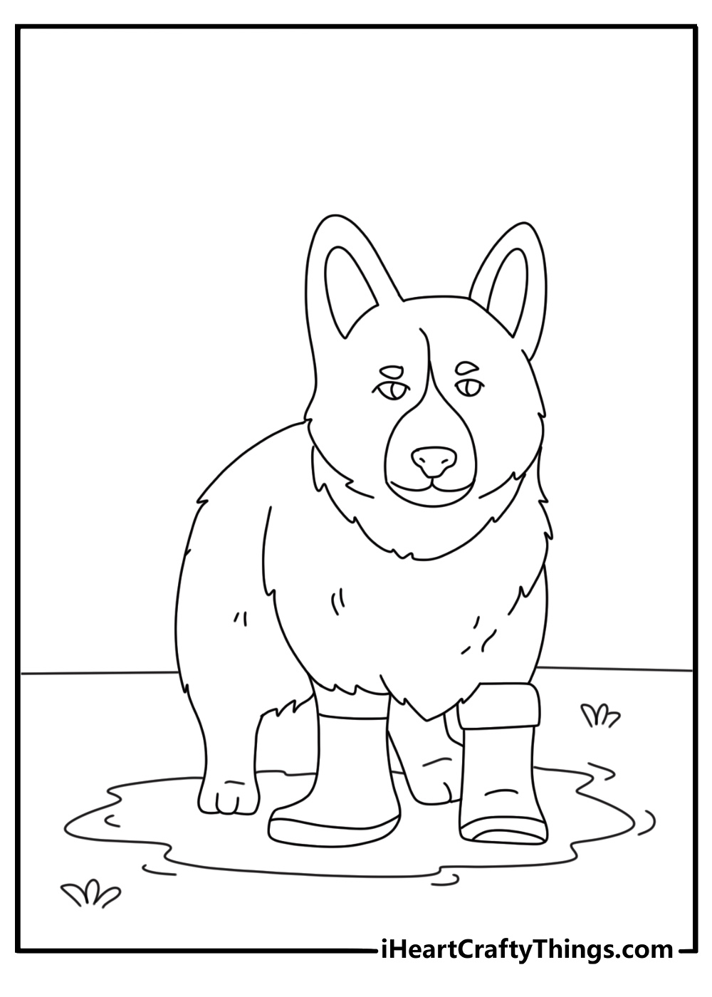 Free printable corgi coloring sheet with a corgi wearing rain boots near puddles