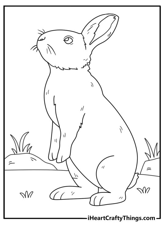 Free printable depicting rabbit perching on her hind legs and sniffing cautiously into the air