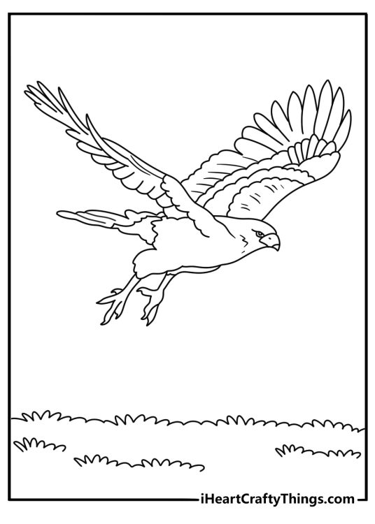 Free printable hawk sheet with a bird diving toward tall meadow grass