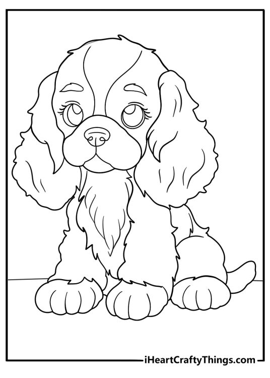 Free printable pdf for kids depicting Cocker Spaniel puppy with signature fluffy ears