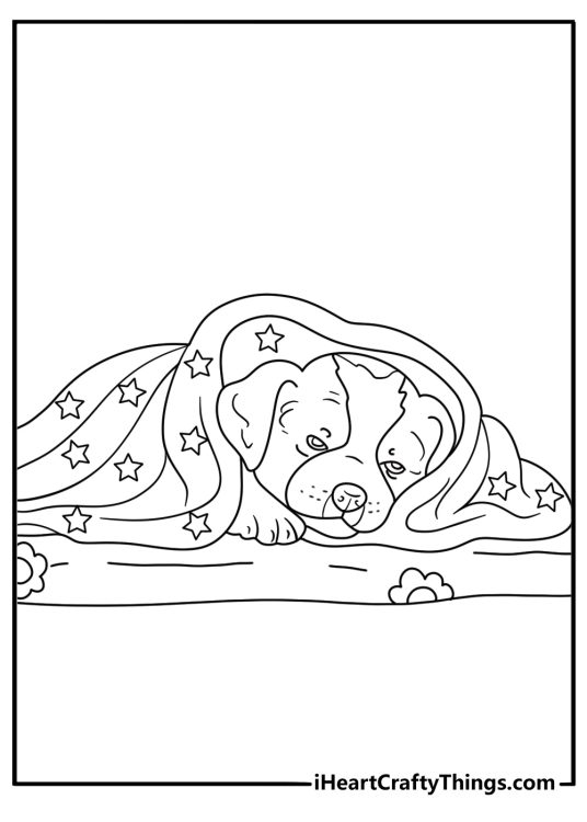 Free printable pitbull coloring sheet with a pitbull inside a cozy blanket