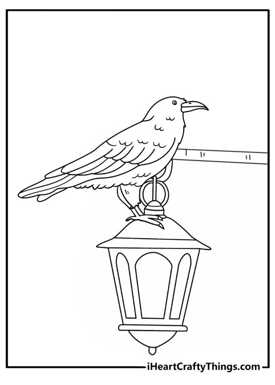 Free printable raven coloring sheet with a raven beside a lantern