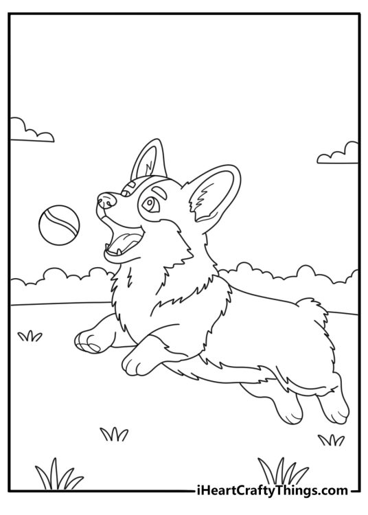 Free printable sheet to color of a Corgi having fun while trying to catch the ball
