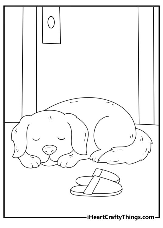 Free puppy coloring sheet featuring a young dog curled up beside a pair of slippers