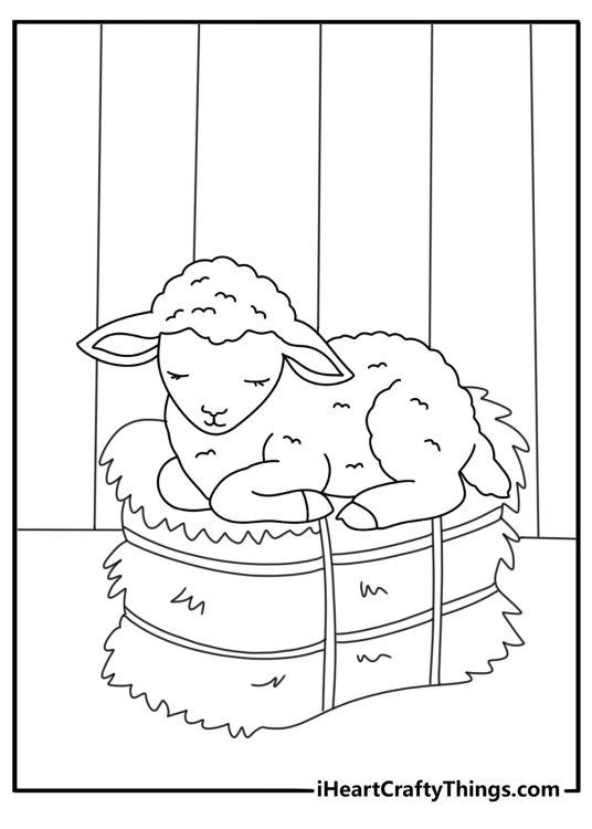 Free sheep coloring page with a lamb sleeping on a hay bale in a barn