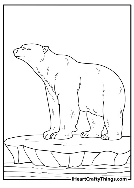 Glacier bay with polar bear on sea ice detailed coloring page for adults