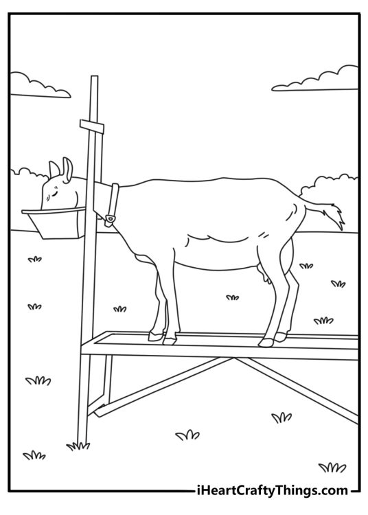 Goat at milking stand with pail farm life coloring page pdf