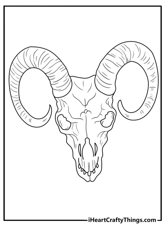 Goat skull with strong horns advanced coloring page for adults