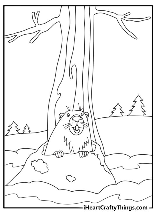 Groundhog peeks from burrow with shadow and bare trees winter coloring page printable for kids pdf