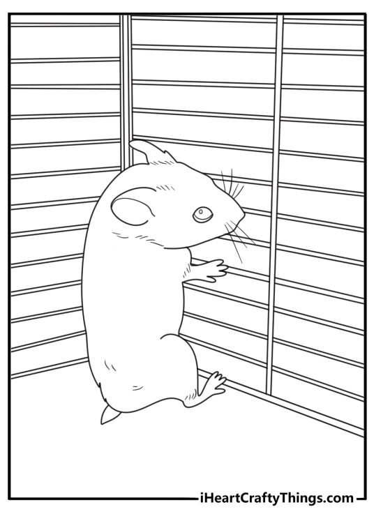Hamster climbing cage bars easy printable coloring page
