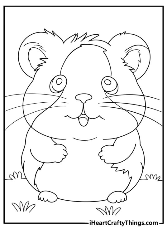Hamster coloring pages