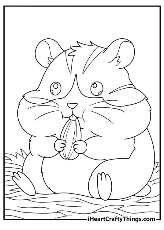 Hamster coloring page