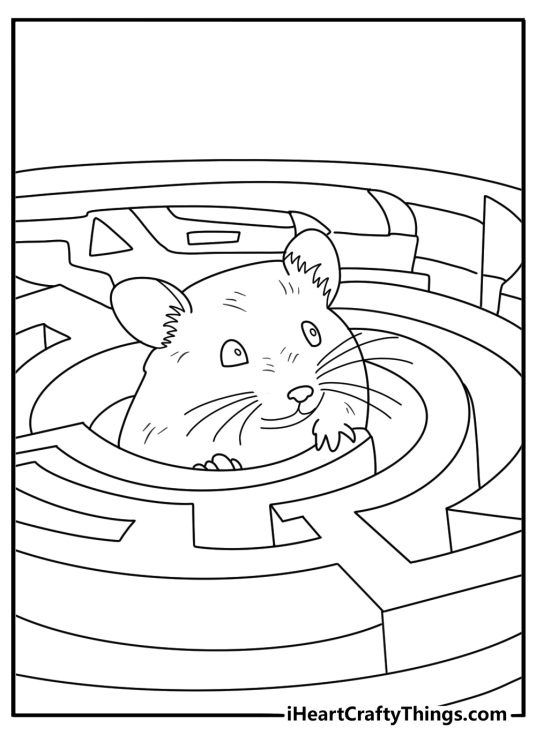 Hamster exploring cardboard maze tunnel coloring sheet