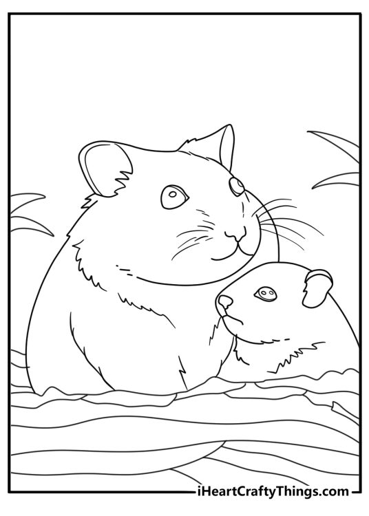 Hamster mother with tiny pups in nest detailed coloring sheet