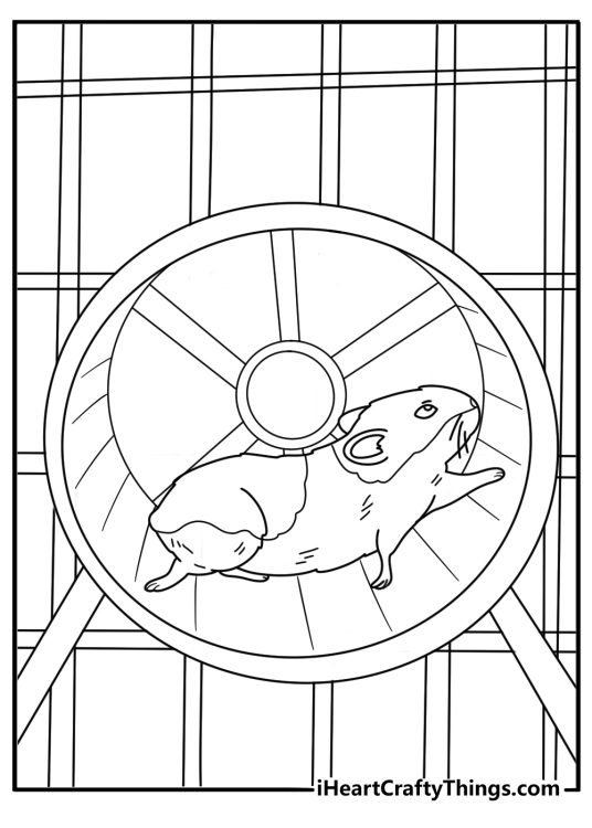 Hamster Coloring Pages (41 Free PDF Printables)