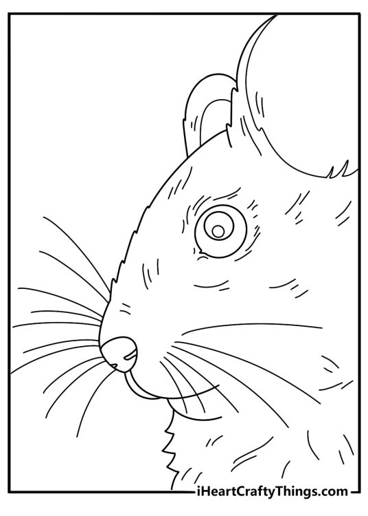 Hamster with large whiskers close up portrait coloring page