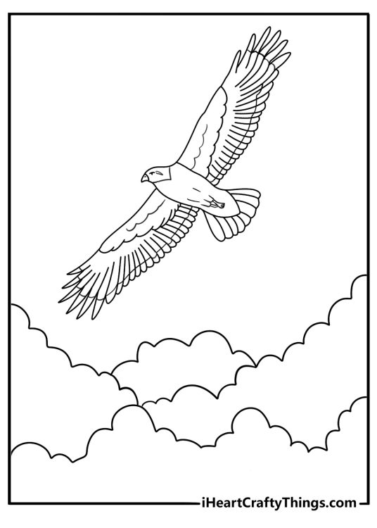 Hawk coloring page for kids with a bird of prey flying past clouds