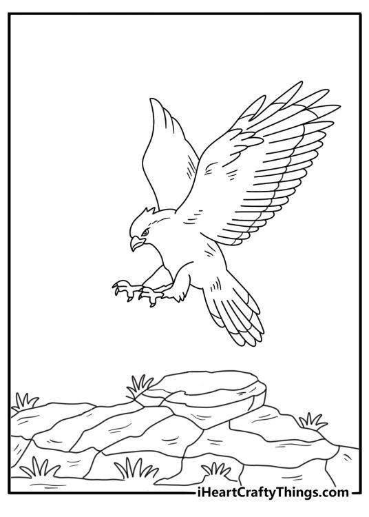 Hawk coloring pages scene showing a bird landing near rocky ground