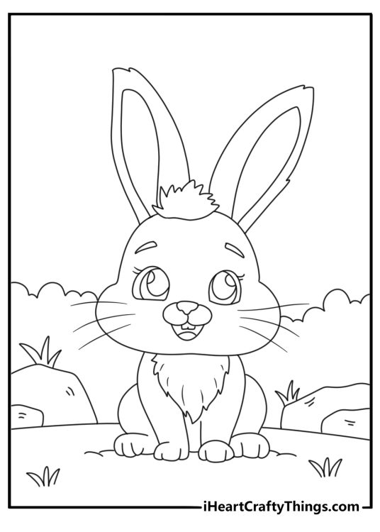 Image to color of an adorable sitting rabbit with round face and some fluffy fur on the chest