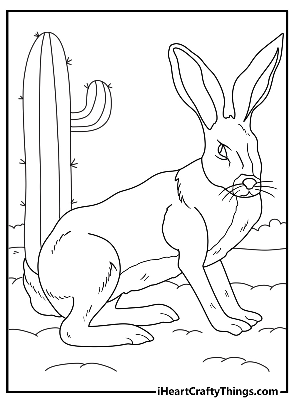 Jackrabbit near cactus in a quiet desert scene detailed coloring page for adults