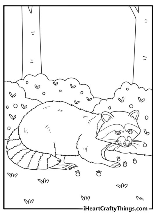 Kawaii forest coloring pages with small raccoon beside berries bush