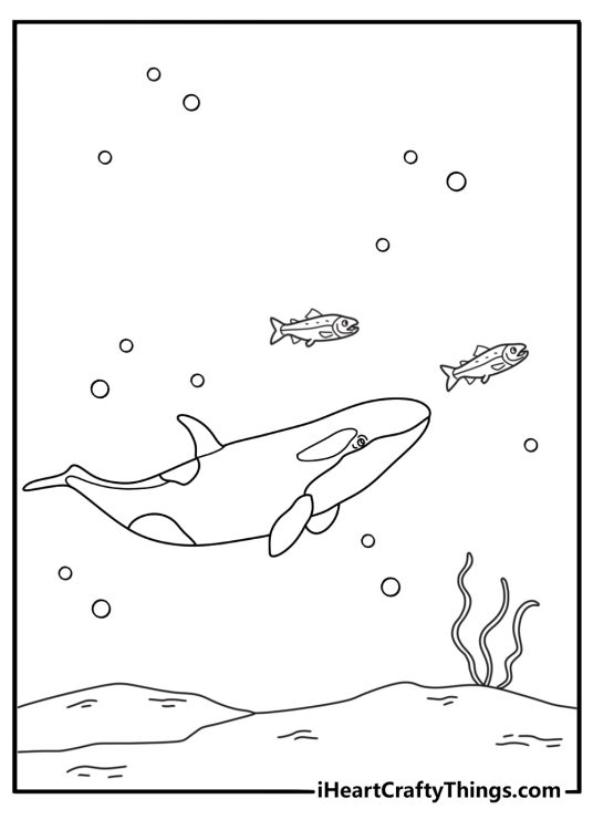 Killer Whale coloring page for kids with an orca hunting salmon in deep water