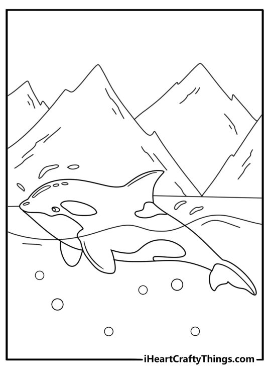 Killer Whale coloring page with an orca pod swimming beside icy cliffs