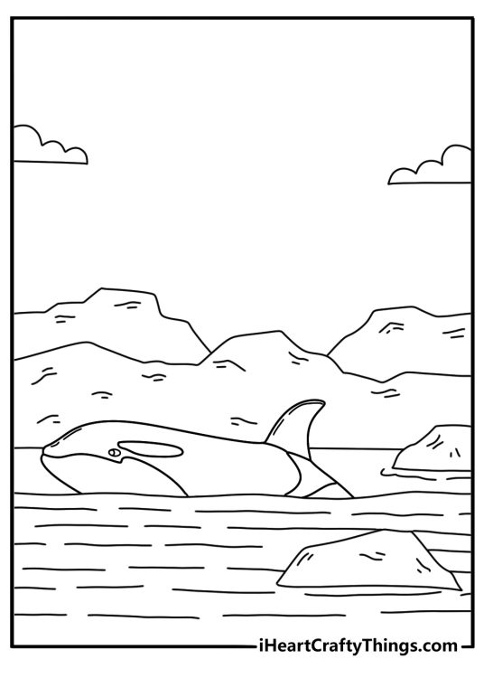 Killer Whale coloring printable with an orca near floating ice chunks