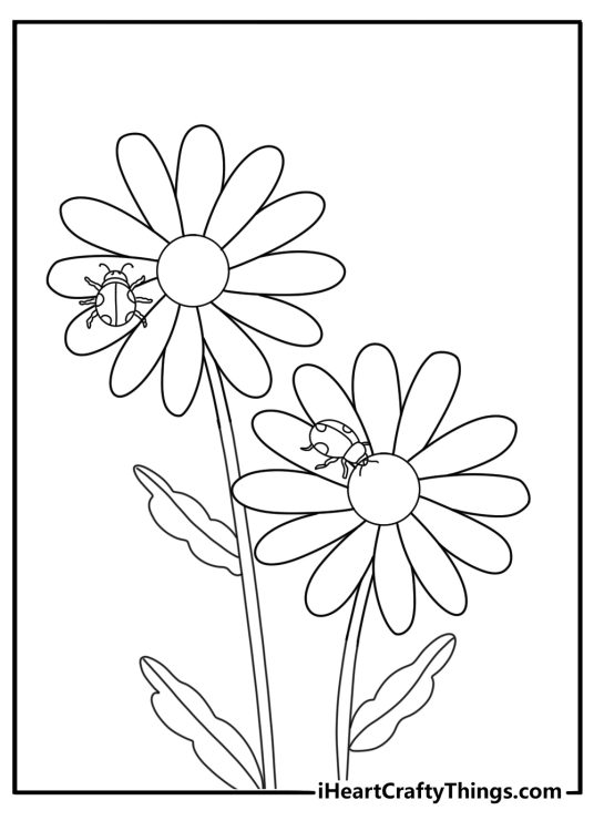 Ladybug on daisy petal coloring page easy printable