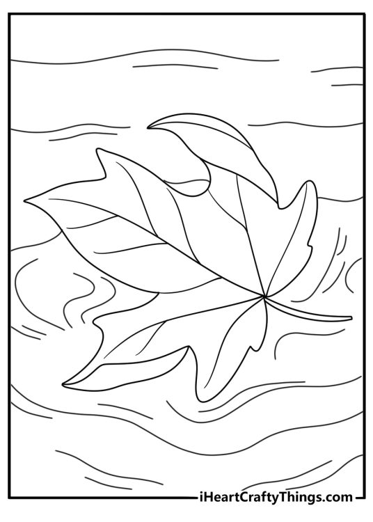 Leaf coloring page for kids with a leaf floating on a pond