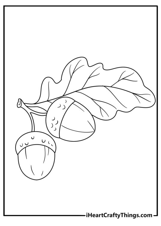 Leaf coloring page with an oak leaf and acorn beside it