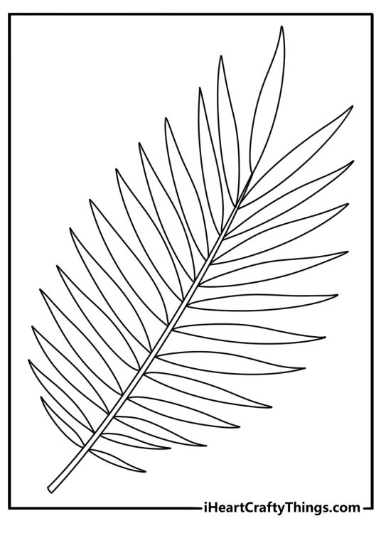 Leaf coloring sheet with a palm leaf stretching across the page