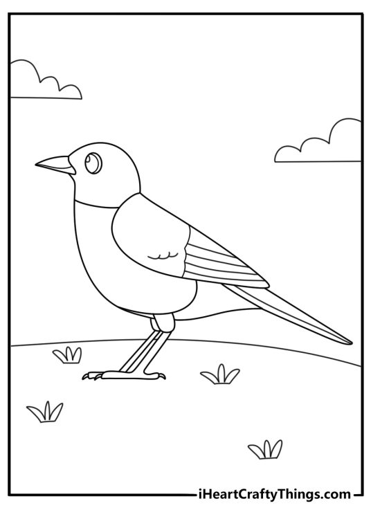 Line art robin coloring sheet with clear outline for easy coloring