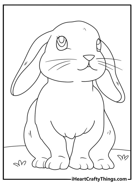 Lop rabbit beside a cabbage patch easy coloring page pdf