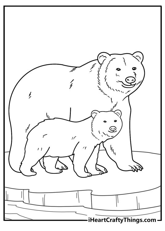 Mother polar bear guiding one cub across sea ice family coloring sheet