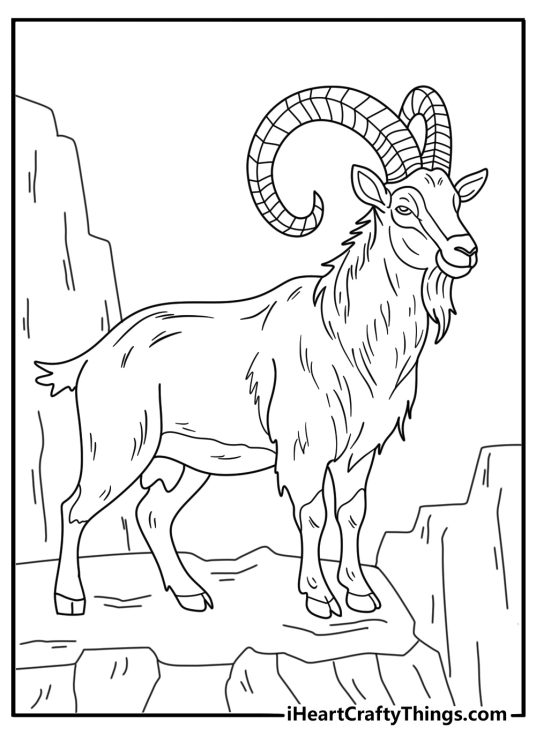 Mountain ibex with curved horns detailed coloring page for adults