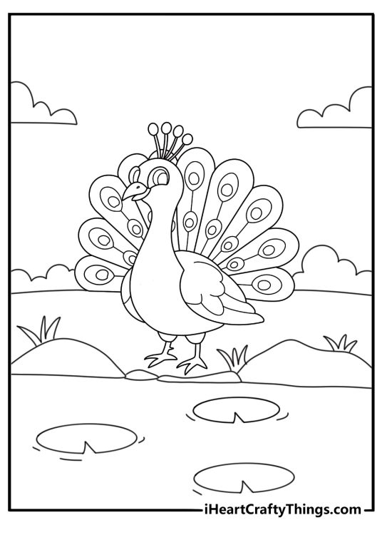 Peacoc coloring page showing bird walking beside calm pond with lily pads