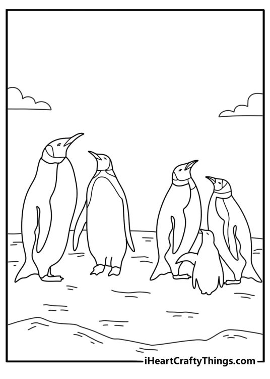 Penguin coloring page with a penguin colony near a frozen shore