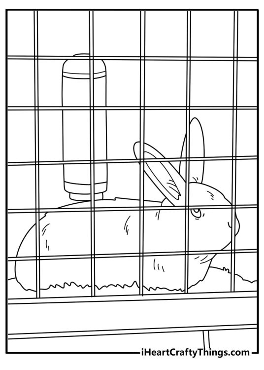 Pet rabbit in a hutch with a water bottle printable coloring page