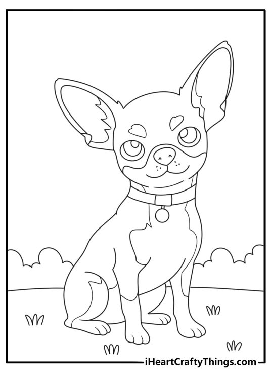 Picture featuring perky puppy with a collar around his neck sitting with ears perked up