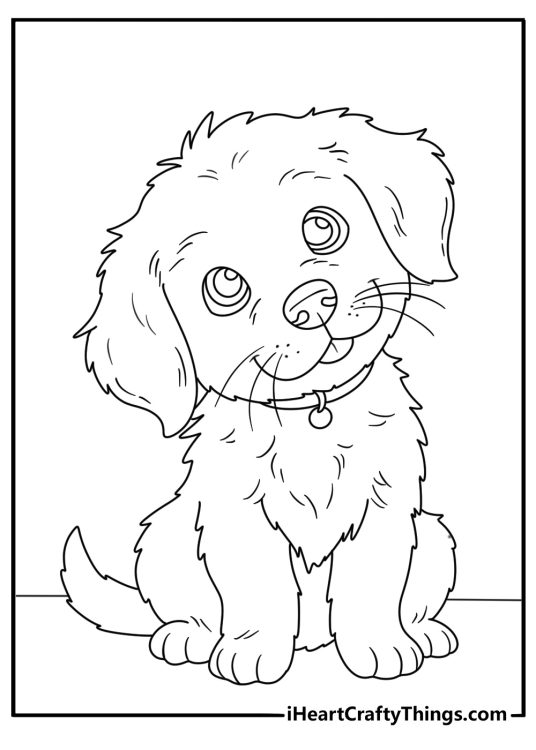 Picture to color featuring sweet cartoony puppy tilting his head slightly begging for some attention