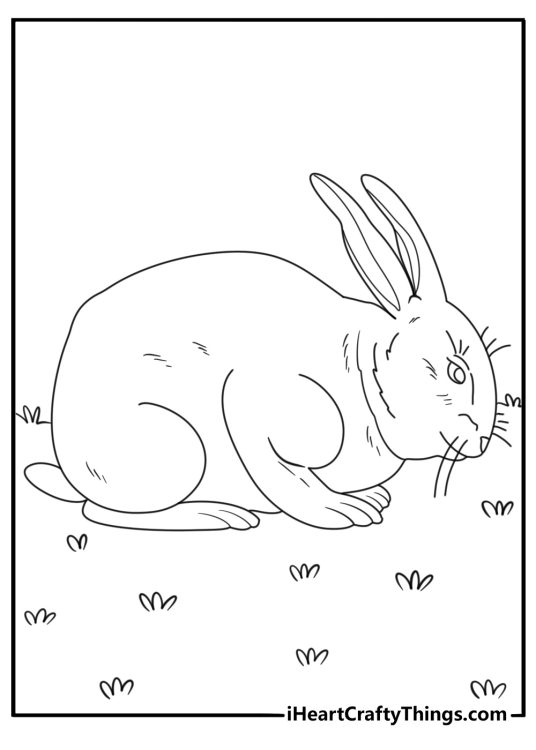 Picture to color of a rabbit sitting upright and snoozing with head falling onto the chest