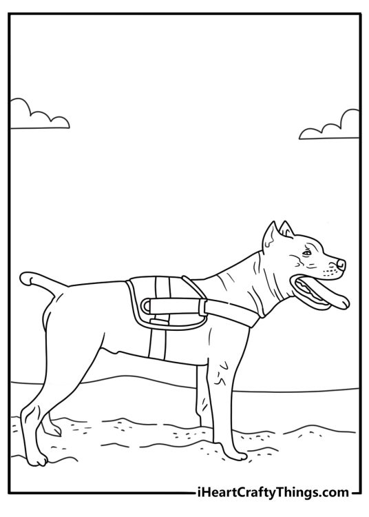 Pitbull coloring printable with a pitbull wearing a service dog vest