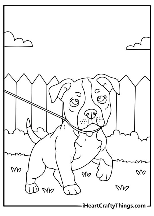 Pitbull coloring sheet with a pitbull walking on a leash beside a fence